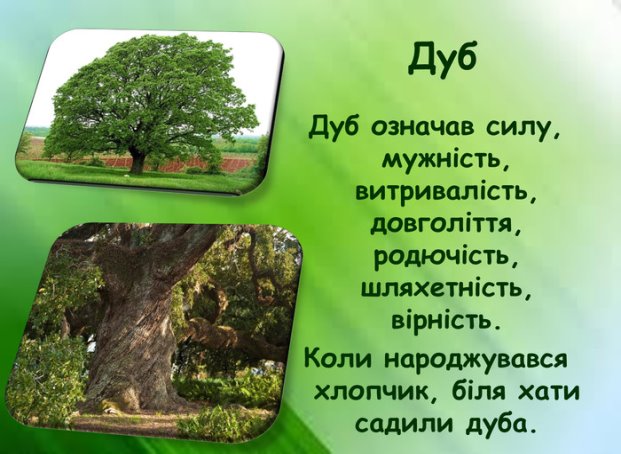 C:\Users\User\Downloads\5.jpg